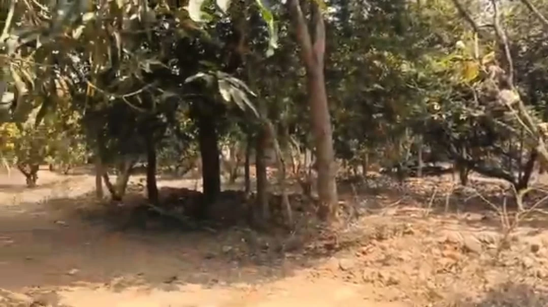 Thiruvallur farm land for sale - UV Smart Lands